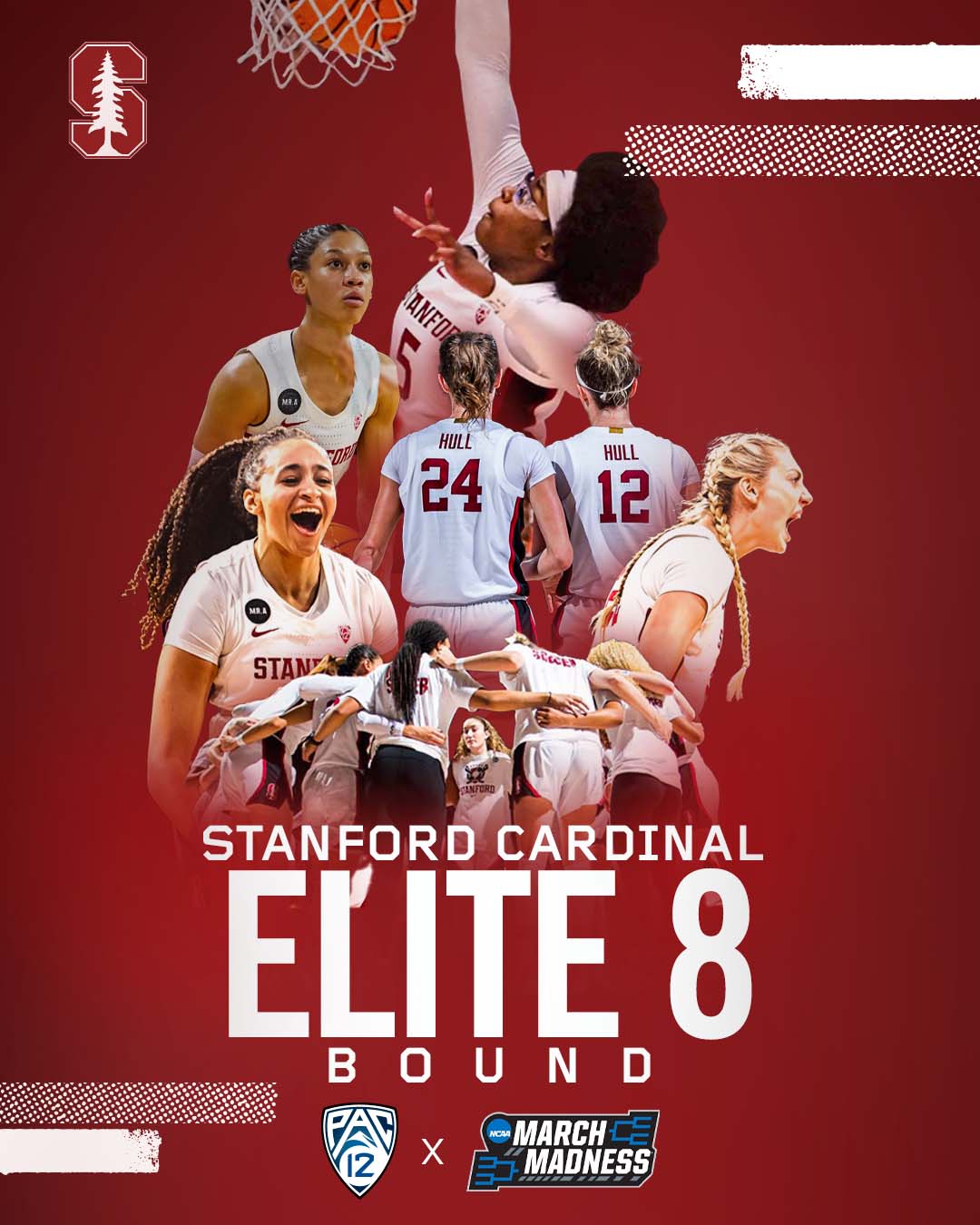 Stanford Elite 8